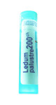 Ledum Palustre 200C - 80 Pellets