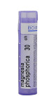 Magnesia Phosphorica 30C - 80 Pellets