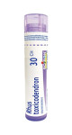 Rhus Toxicodendron 30C - 80 Pellets