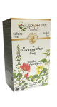 Eucalyptus Leaf Tea (Organic) - 24 Tea Bags