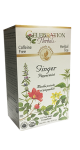 Ginger Peppermint Tea (Organic) - 24 Tea Bags