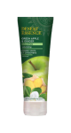 Green Apple & Ginger Shampoo (Volumizing) - 237ml