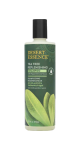 Tea Tree Replenishing Shampoo - 382ml