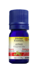 Ajowan Oil (Organic) - 5ml