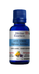Anti-Stress Oil (Organic) - 30ml