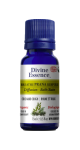 Breathe Prana Oil (Organic) - 15ml