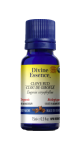 Clove Bud Oil (Organic) - 15ml