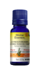 Cypress Oil (Evergreen, Organic) - 15ml