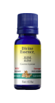 Elemi Oil (Wild) - 15ml