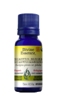 Eucalyptus Oil (Blue Gum, Organic) - 15ml