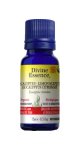 Eucalyptus Oil (Lemon Scented, Organic) - 15ml
