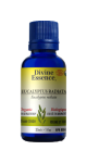 Eucalyptus Oil (Radiata, Organic) - 30ml