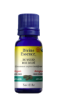 Ho Wood Oil (Organic) - 15ml