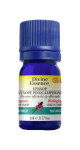 Hyssop Oil (Pinocamphone, Organic) - 5ml