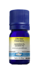 Jasmine Oil (5% Absolute) - 5ml