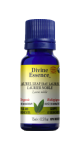 Laurel Leaf Oil (Bay Laurel, Organic) - 15ml