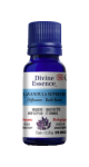 Lavandula Supreme Oil (Organic) - 15ml