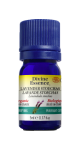 Lavender Oil (Stoechas, Organic) - 5ml
