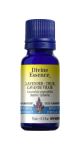 Lavender Oil (True Kashmir) - 15ml