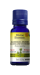 Marjoram Oil (Spanish, Organic) - 15ml