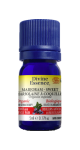 Marjoram Oil (Sweet, Organic) - 5ml