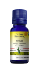 Niaouli Oil (Cineole, Organic) - 15ml