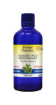 Oregano Oil (Wild, Organic) - 100ml