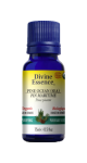 Pine Ocean Oil (Sea, Organic) - 15ml