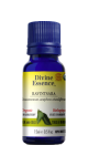Ravintsara Oil (Organic) - 15ml