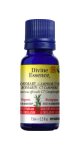 Rosemary Oil (Camphor Type, Organic) - 15ml
