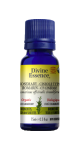 Rosemary Oil (Cineole Type, Organic) - 15ml