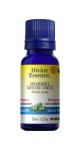 Spearmint Oil (Organic) -15ml