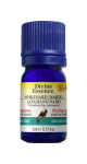 Spikenard Oil (Nard, Organic) - 5ml