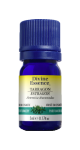 Tarragon Oil - 5ml