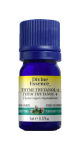 Thyme Oil (Thuyanol-4) - 5ml