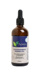 Moringa Oil - 100ml