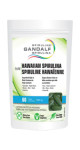 Gandalf Hawaiian Spirulina - 60 Tabs