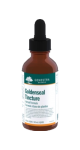 Goldenseal Tincture - 60ml - Genestra
