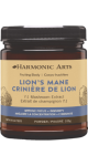Lion's Mane Concentrated Mushroom Powder - 100g