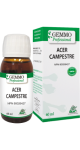 Acer Campestris (Gemmo) - 60ml