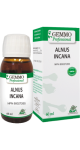 Alnus Incana (Gemmo) - 60ml