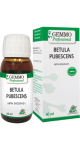 Betula Pubescens (Gemmo) - 60ml