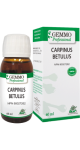 Carpinus Betulus (Gemmo) - 60ml