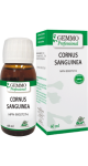 Cornus Sanguinea (Gemmo) - 60ml