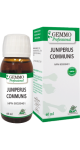 Juniperus Communis (Gemmo) - 60ml