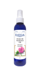 Massage Oil (Geranium) - 180ml