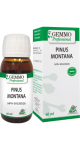 Pinus Montana (Gemmo) - 60ml