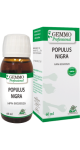 Populus Nigra (Gemmo) - 60ml