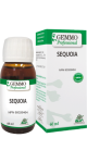 Sequoia (Gemmo) - 60ml