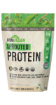 Iron Vegan Raw Sprouted Protein (Vanilla) - 1kg